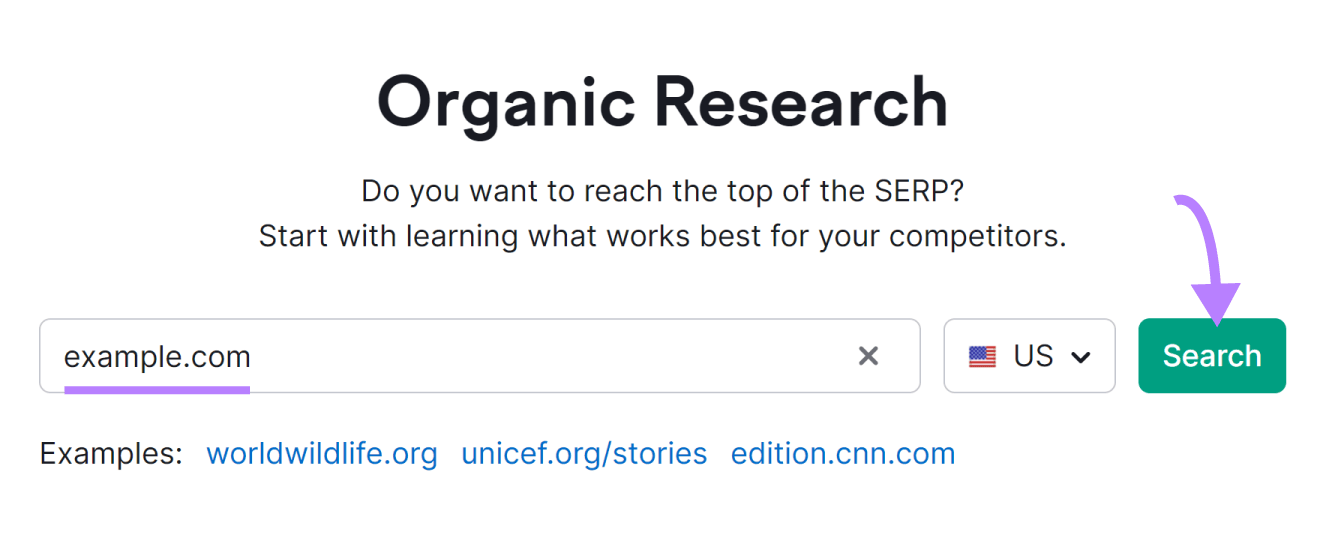 Organic Rankings tool search bar